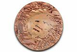 Polished Saharan Desert Jasper Dish - Morocco #349407-1